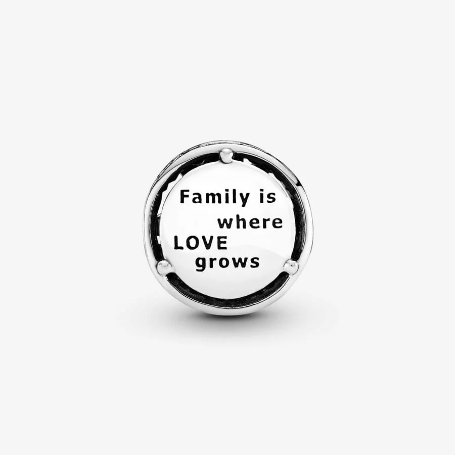 Pandora Opengewerkte Familiebanden Bedel 797590 - Image 4